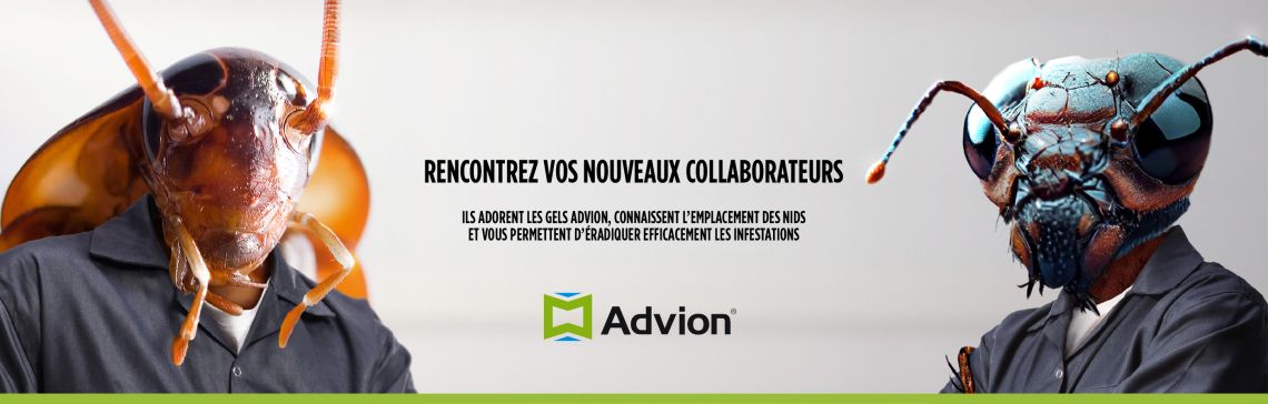 Advion gel blattes et fourmis 