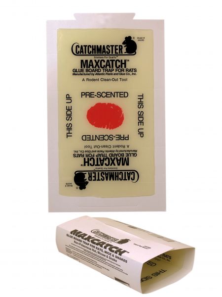 Plaque adhésive Rat - CATCHMASTER 48RB - Plaques de Glu en base plastique /  agglomérée - ARMOSA