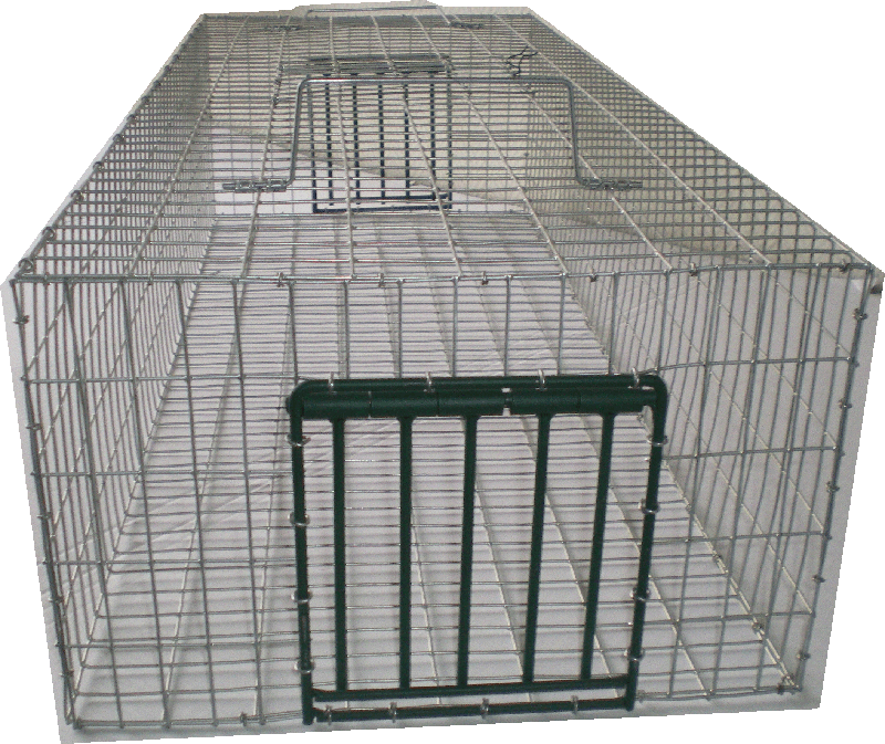 CAGE CAPTURE PIGEONS