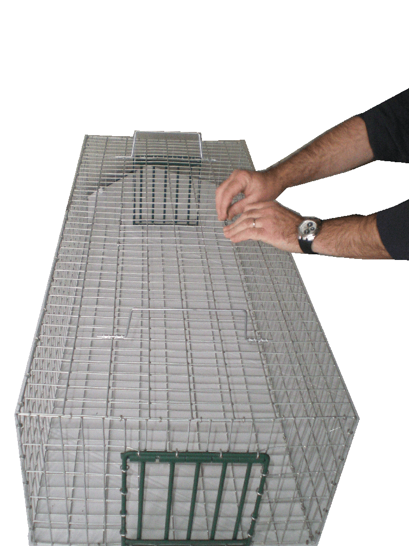 Cage Piège à Pigeons/Oiseaux - 100x60x26 Cm, 2 Entrées Sens Unique - Métal Blanc Antirouille