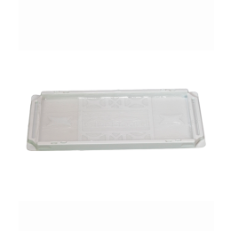 Plaque adhésive Rat - ECOTRAP