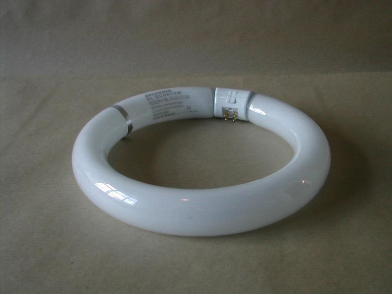 Tube 22 W QUANTUM Circulaire gainé