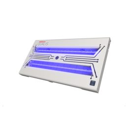 Chameleon® QUALIS LED QUANTUM® X
