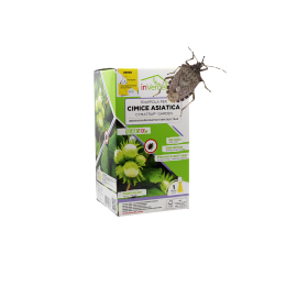 Piège punaise diabolique - CYMATRAP® GARDEN