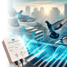 DISPOSITIF WINGZAWAY